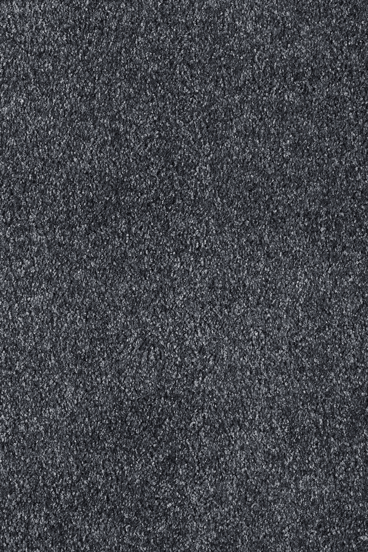 Vista 97